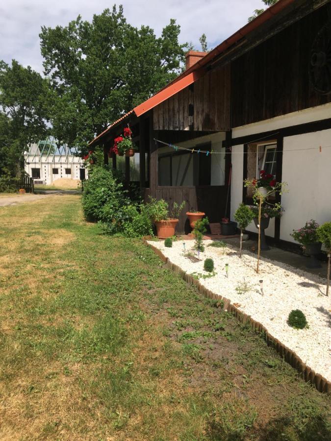 Agroturystyka Pod Debami W Klukach Smołdzino Eksteriør billede