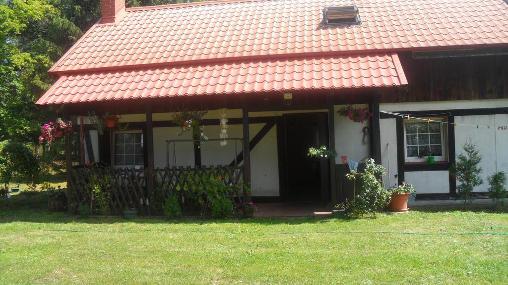 Agroturystyka Pod Debami W Klukach Smołdzino Eksteriør billede