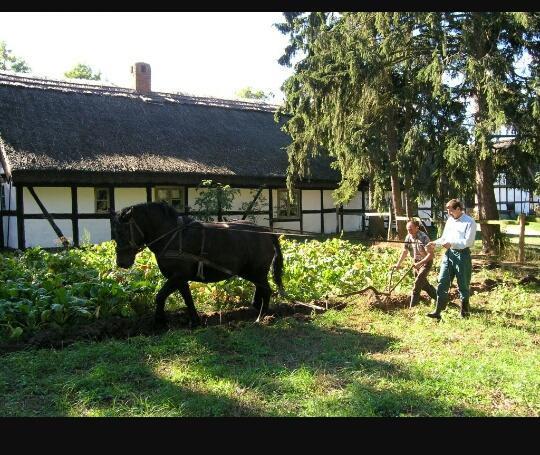 Agroturystyka Pod Debami W Klukach Smołdzino Eksteriør billede