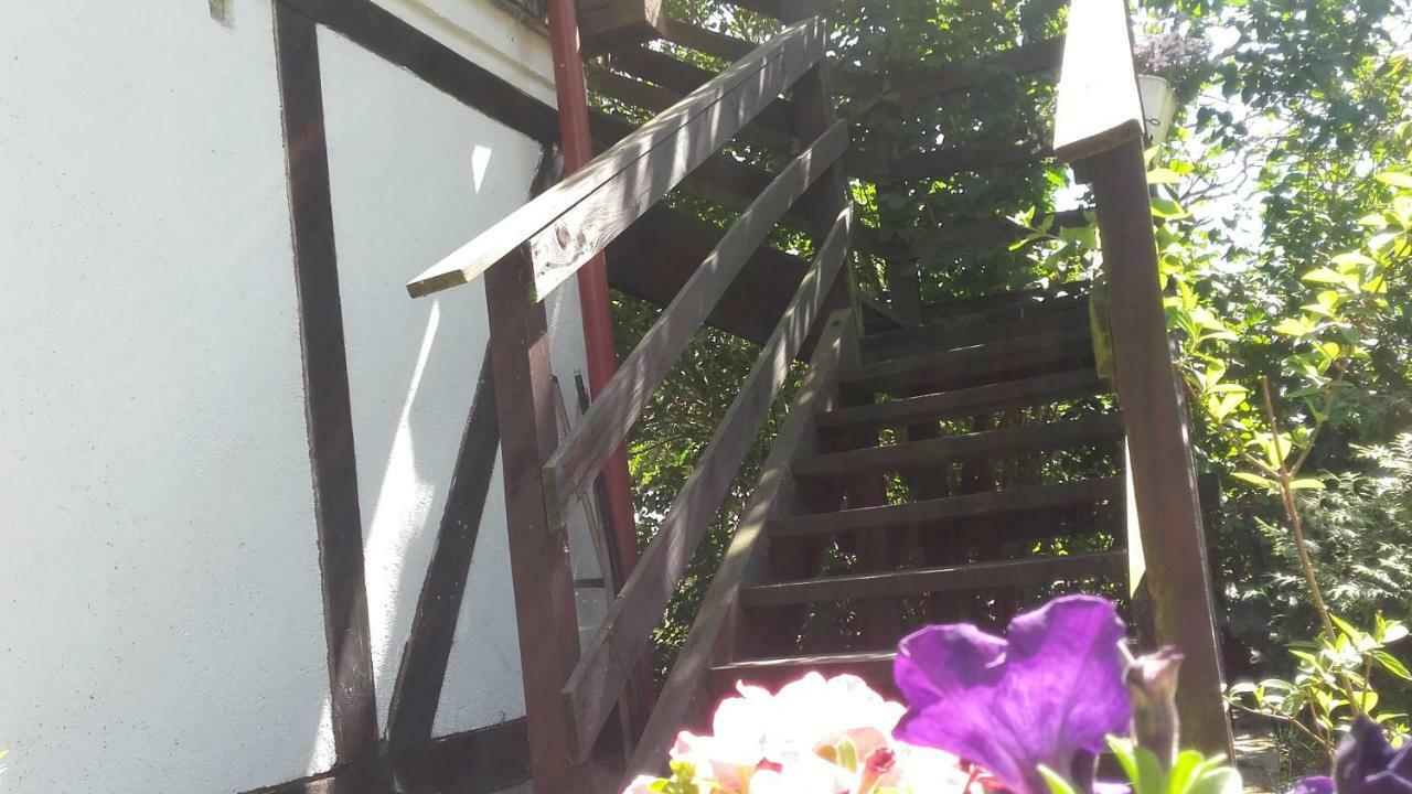 Agroturystyka Pod Debami W Klukach Smołdzino Eksteriør billede