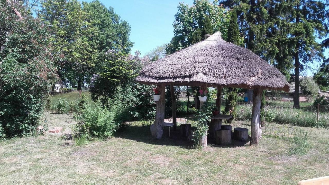 Agroturystyka Pod Debami W Klukach Smołdzino Eksteriør billede